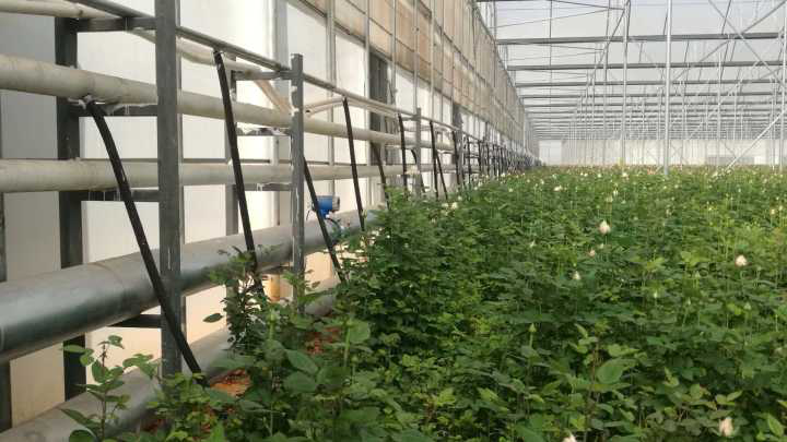 電磁流量計現場安裝圖